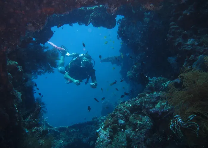 The Griya And * Amed (Bali)